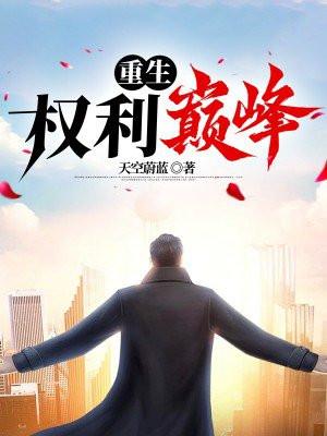 重生:权利巅峰