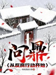 问鼎:从反腐行动开始