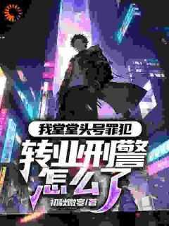 我堂堂头号罪犯,转业刑警怎么了言情作品