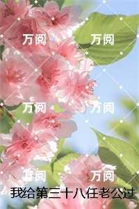 我给第三十八任老公过喜完整版:全文+后续
