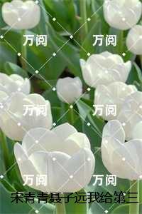 宋青青聂子远我给第三十八任老公过喜:+后续