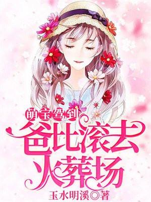 萌宝驾到:爸比滚去火葬场